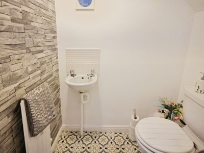 Picture 7